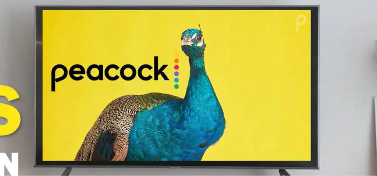 How to Explore and Enjoy Peacock Content